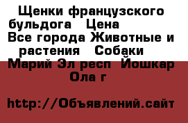 Щенки французского бульдога › Цена ­ 30 000 - Все города Животные и растения » Собаки   . Марий Эл респ.,Йошкар-Ола г.